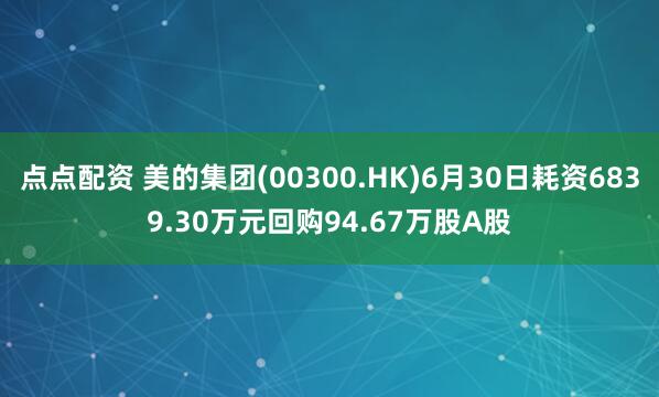 点点配资 美的集团(00300.HK)6月30日耗资6839.30万元回购94.67万股A股