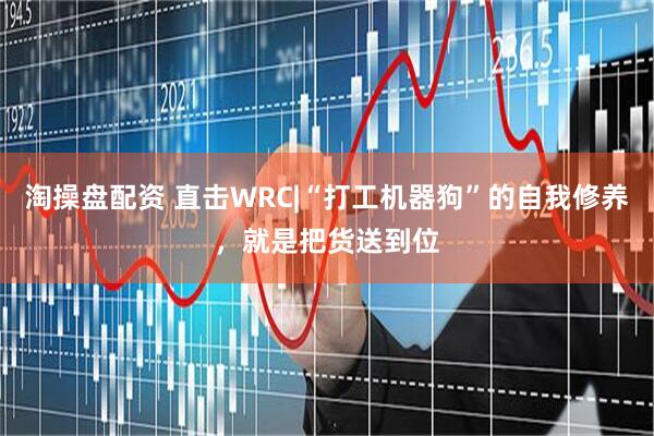 淘操盘配资 直击WRC|“打工机器狗”的自我修养，就是把货送到位