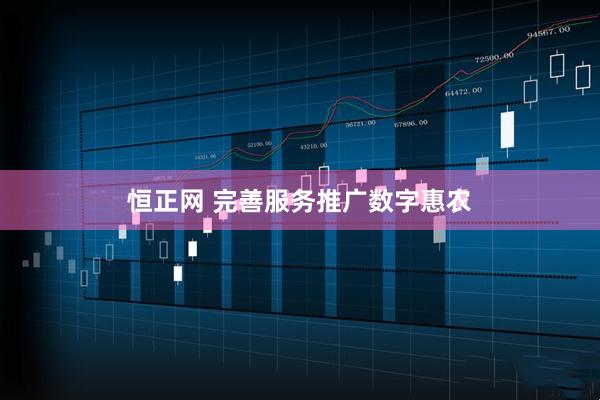 恒正网 完善服务推广数字惠农